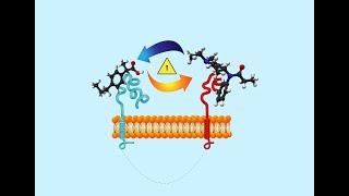 A New Approach for Identifying Drug Interactions [upl. by Claribel]