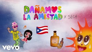 KAROL G Sech  Dañamos La Amistad Visualizer [upl. by Yolanthe874]