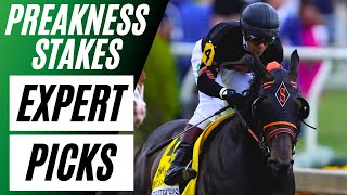 EXPERT Preakness Stakes Picks and Predictions  2024 Free Horse Racing Picks [upl. by Puttergill]