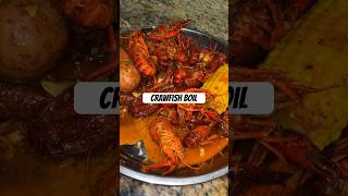 CRAWFISH BOIL  Seafood Boil Bag  Spicy CAJUN Butter shorts mukbang cajun seafoodboil dmv dc [upl. by Powe]