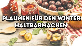 Pflaumen einkochen 🌺 Süße Köstlichkeiten für den Vorratsschrank [upl. by Raquel]