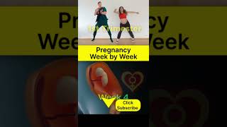 Pregnancy Week By Week 1 Trimester [upl. by Elletnahc87]