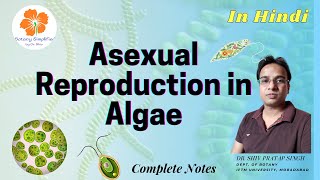 Asexual Reproduction in Algae  Zoospores  Aplanospores  Hypnospores  Akinetes  Hyterocyst [upl. by Disharoon]