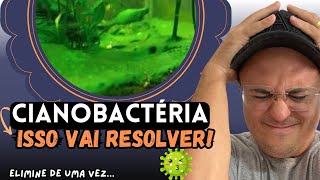 COMO ELIMINAR CIANOBACTERIA DO AQUÁRIO PASSO A PASSO [upl. by Zurn]