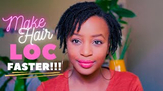 How to Make Hair Loc Faster Two Strand Twist Starter Locs on 4C Hair [upl. by Aneroc]