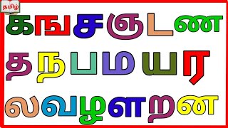 uyirmeiyeluthukkalஉயிர் மெய் எழுத்துக்கள்கஙசஞஉயிர்மெய்எழுத்துக்கள் dhanuchezhiyan [upl. by Izak]