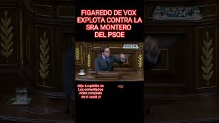 FIGAREDO DE VOX EXPLOTA CONTRA LA SRA MONTERO DEL PSOE vox españa [upl. by Adniled]