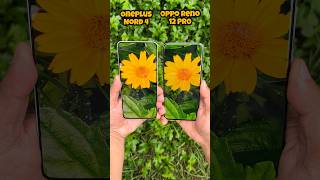 Oneplus Nord 4 vs Oppo Reno 12 Pro Camera Test [upl. by Anaid]