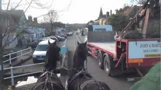 Driving an illmatched pair of Friesians and why they are not suitable for commercial work [upl. by Idnahr337]