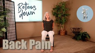 Chair Yoga  Back Pain  50 Minutes Seated [upl. by Jorgenson196]