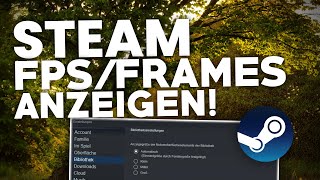 2024 Steam FPSFrames ANZEIGEN lassen  Tutorial  Deutsch [upl. by Eirrol]