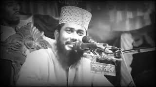 waz  পুরো বাংলাদেশবাসিকে এ কি বলোলো বিপ্লবী হুজুর মাওলানা আশরাফুল ইসলাম  Ashraful islam Biplobi [upl. by Ichabod]