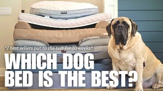 Which is the Best Dog Bed for Large Dogs  7 Most Popular Beds Tested for 10 Weeks  RESULTS [upl. by Adnilra]