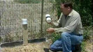 California Ground Squirrel  Tbait Station [upl. by Lareneg970]