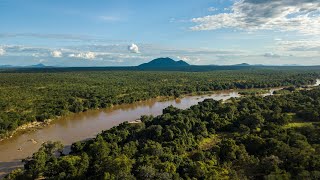 Conducting the carbon inventory assessment across the Ruvuma landscape [upl. by Critchfield]