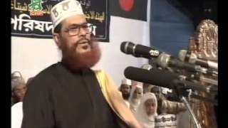 Bangla Jahannamer Voyabahota by Allama Delwar Hussain Sayeedi [upl. by Sinnaoi]