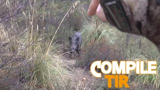 Top 10 best shots hunting Wild boar  Top 10 des meilleurs tirs de Sanglier  2015 [upl. by Baiss]