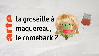 la groseille à maquereau le comeback   Karambolage  ARTE [upl. by Nwahsiek]