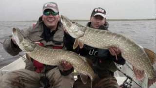 Huge pikes Wielkie szczupaki Fishing in Ireland [upl. by Akir]