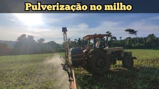 Passando Sonda quotTerbutilazinaquot no milho safrinha NIDERA Ns 75 [upl. by Cyb]