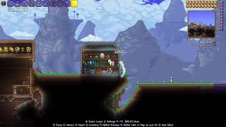 GETTING UNIVERSAL PYLON Terraria 144 [upl. by Drhacir]