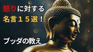 【ブッダの教え】怒りに対する名言１５選！ ブッダの教え ブッダ 仏教 仏教の教え 怒り 名言 [upl. by Keele]