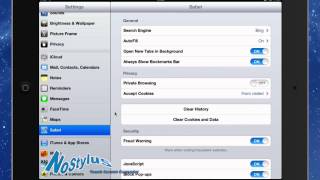 Safari Settings on iPad [upl. by Kronick]