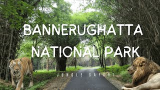 Bannerghatta National Park  ബന്നാർഘട്ട നാഷ്ണൽ പാർക്ക്  Amazing Jungle Safari amp Zoo  Bangalore [upl. by Jacobsohn]