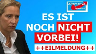 Alice Weidel  Ihre härteste Rede So hart rechnet Sie mit Scholz amp Co ab [upl. by Eireva]