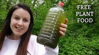 How To Make Nettle Fertiliser Fertilizer  Stinging Nettle Plant Food [upl. by Reave]