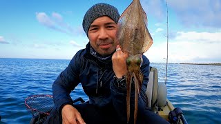 Squid Fishing Jervoise Bay PerthThe Water Is Clearing [upl. by Barcus]