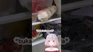 Bawangnya dikoleksi ges bukan dimakan 🧄 minervarosaline shorts vtuber [upl. by Norreht373]