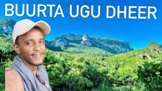 WAXAN KORNAY BUURTA U DHEER DHULKEENA SURAD [upl. by Ecniv]