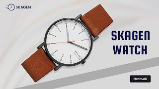 Skagen Signatur 40mm Minimalist Watch [upl. by Atir]