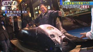 大間の本マグロに3億3360万円 豊洲市場で初競り190105 [upl. by Adeys156]