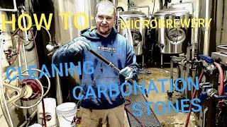 CLEAN CARBONATION STONE How To Microbrewery [upl. by Naashar]