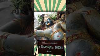 Original Govindaraja Swamy Statue in Tirupati  Tirupati vlogs  Tirupathollu [upl. by Harbour]