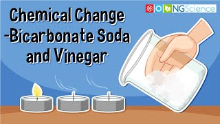 Chemical Change – Bicarbonate Soda and Vinegar [upl. by Nanny]