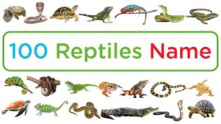 100 Reptiles Name in English II Reptiles Vocabulary II Reptiles video for kids [upl. by Eimmelc]