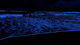 ADEUS noites sem dormir Caia no sono profundo com sons das ondas do mar [upl. by Azeret550]