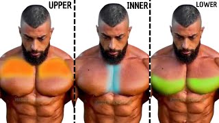 The Ultimate Guide to Enlarging Your chest Completely and Fastchest workout [upl. by Hedi612]