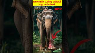 யானையின்😱உயிரை பறிக்கும் மது பாட்டில்கள்😔Elephant glass attack shortfeed motivation shorts [upl. by Gupta]