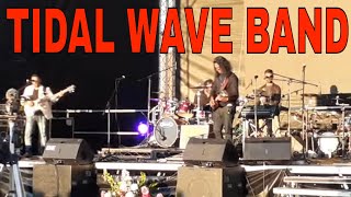 THE UK Goan Festival LONDON 2023  GOA DAY  Tidal Wave band from Goa  Goa Day UK 2023 [upl. by Ferro]