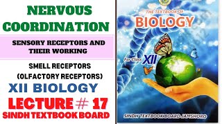 Sensory receptors and their working class 12  smell receptors  Sindh board new Biology book [upl. by Noired]