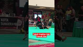 Teknik Ungkitan Kaki Pencak Silat pencaksilat silat beladiri shorts shortviral shortsyoutube [upl. by Ailssa997]