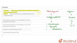 Assertion Mesenchymal cells function is formation of other cells of connetive tissue proper [upl. by Avehstab]