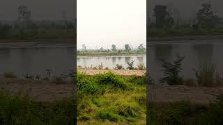 Chitwan National Park 🌱🌿🕊❤ exploring beautifulnepal sauraha subarnatiwari youtubeshorts [upl. by Romonda]