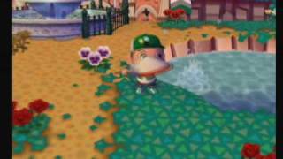 Animal Crossing City Folk  Catching a Diving Beetle [upl. by Akived]