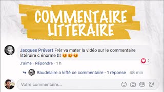 Le commentaire littéraire  français  1ère [upl. by Eet852]