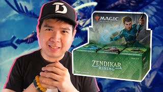 Zendikar Rising Draft Booster Box Unboxing [upl. by Nwahsauq]